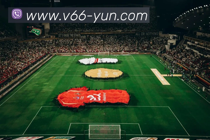 V66体育APP 封面图